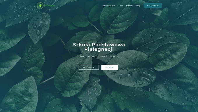 Strony internetowe Jan Kamiński